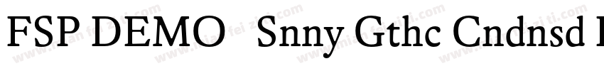 FSP DEMO   Snny Gthc Cndnsd Regula字体转换